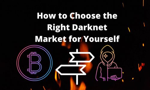 How to Choose the Right Darknet Market for Yourself5 (1)