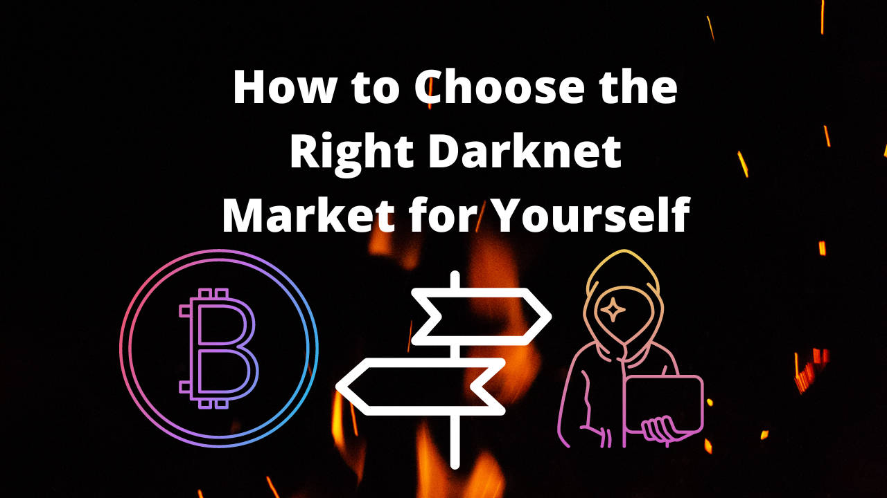 How to choose the right darknet market for yourself