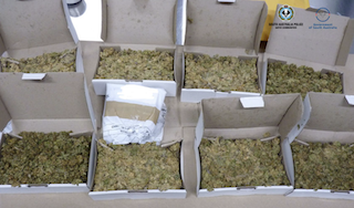 Cannabis Retrieved During The Underlinecost Raid