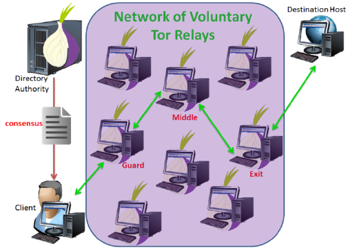 Tor Network Visualised