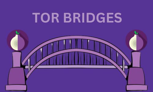 How to Make a Tor Bridge5 (1)