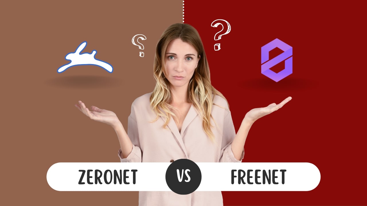 zeronet vs freenet