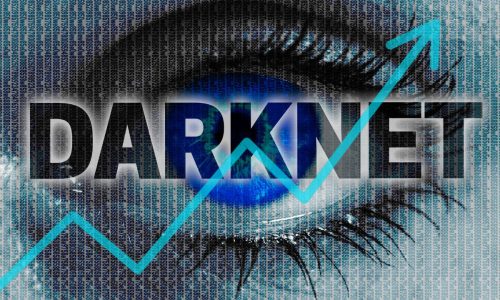 Surge in Global Darknet Market Usage: Growth, Trends, and Crime0 (0)