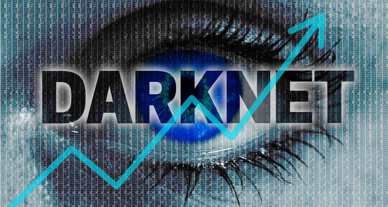 Darknet Usage Goes Up